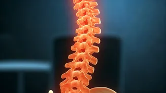 Desk Workers Need Steps Before Back Pain
