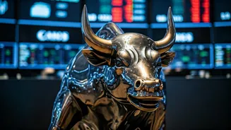 Indian Stock Market: Outlook After Global Rally