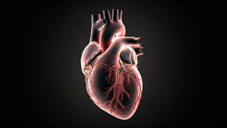 Young Indians' Heart Health Crisis: Diabetologist Highlights Alarming Rise in Cardiac Events