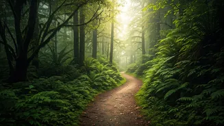 Secret Monsoon Destinations Worth Every Kilometer