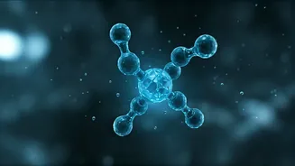 Related Stories banner