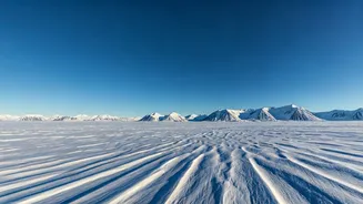 Explore Norway's Arctic Islands!