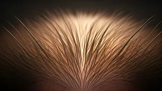 Samantha Ruth Prabhu's Scalp Secrets: Unveiling the Truth Behind Tight Hair Styles