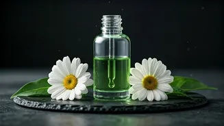 Ditch Heavy Serums: Try Lightweight Botanical K-Beauty Instead