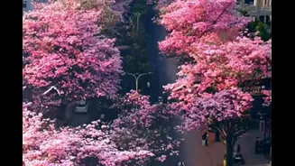 Related Stories banner