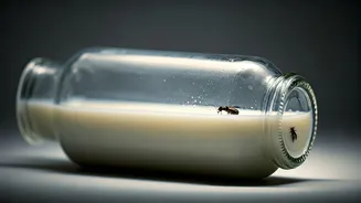 Insect in Milk Bottle Sparks Outrage: Brand Responds to Customer's Shocking Discovery