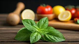 Savor the Sacred: 5 Delicious Ways to Enjoy Holy Basil's Flavorful Touch