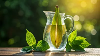 Ditch Chemical Fertilizers For Organic Banana Peel Liquid Spray