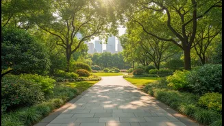 Healthy Living In Urban India needs supportive environments rather than more motivational advice