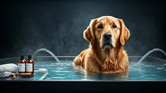 Luxury Pet Spas Offer Specialized Grooming And Soothing Hydrotherapy Sessions