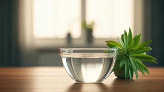 The Simple Overnight Vinegar Trick: Effortlessly Refresh Your Home's Air Naturally!