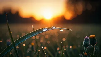 5 AM Soul Reset: 7 Affirmations to Start Your Day with Purpose and Peace