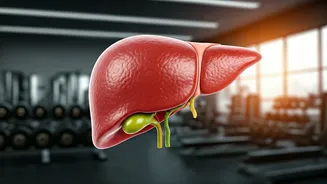 Exercise Can Help Fatty Liver Disease