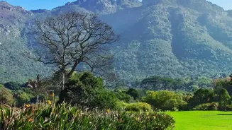 South Africa's Natural Scale Calls for a More Unhurried Journey