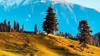 The Himachal Trek Where Seri Meadows Lead towards Deo Tibba