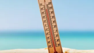 How Tiny Temperature Changes Could Become Useful Electrical Signals