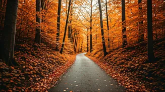 Cold-Weather Countries Are Winning Indian Summer Searches