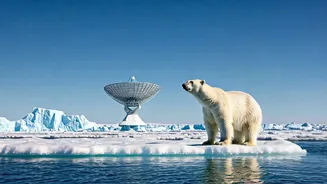 Putin's Perspective: Greenland and the US-Europe Rift