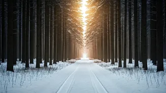 Mental Wellness: Conquering the Winter Blues and Prioritizing Self-Care