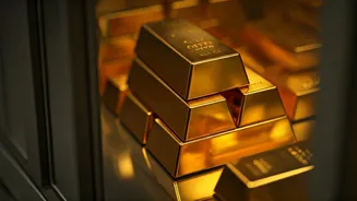 FPI Investment Surges Into Primary Market