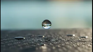Why Understanding Sweat Efficiency Changes in Damp Weather Enhances Personal Fitness Safety Commitments