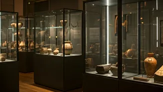 5 Museum Must-Knows: Your Guide to a Great Visit!