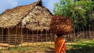 Indian Tourism Is Seeing A Shift Towards Authentic Local Experiences