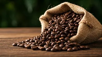 Coorg: India's Coffee Paradise