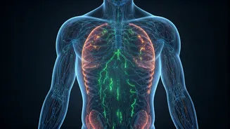 Metabolic Health Makes Strength Training More Serious