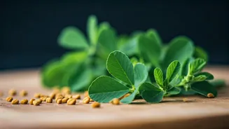 Fenugreek Leaves Make Simple Meals Feel Special