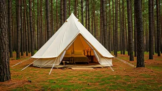 Experience Luxury Valley Glamping Surrounded By Dense Indian Pine Forests