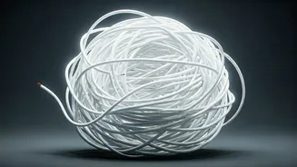 The Unseen Toll: Why Working From Home Feels Harder Than Expected