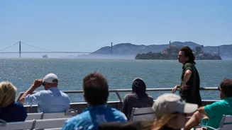 San Francisco Implements AI Technology to Protect Whales from Ship Collisions