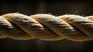 Grip Strength: The Underrated Exercise for Longevity