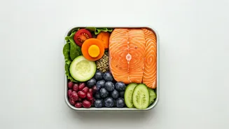 Healthy Lunch Boxes Are Back In Focus