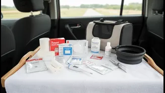 Travelling With Animals Requires A Backup Plan For Illness Or Stress