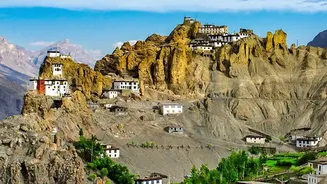 The 25-Lakh-Flower Project Could Broaden Ladakh's Rural Economy