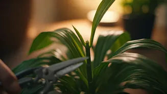 Plant Parents Are Entering Pruning Week Energy