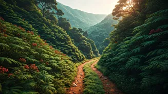 Why Weekend Travelers Swear By Offbeat Western Ghats Trips