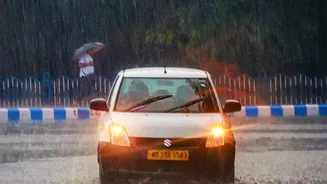 Why The Post-Monsoon Konkan Route Is Perfect For Weekend Car Trips From Metro Mumbai