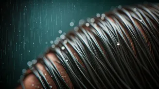 Why Greasy Hair Is A Monsoon Problem