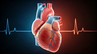 Related Stories banner