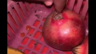 Vendor Held For Allegedly Applying Rat Poison On Fruits In Mumbai