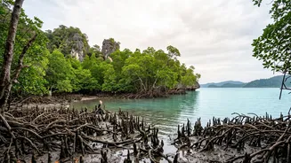 India Adds Three Potential World Heritage Nominees — Chhattisgarh And Andaman Landmarks Draw Attention