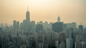 Delhi's Smog: A Look at Air Quality