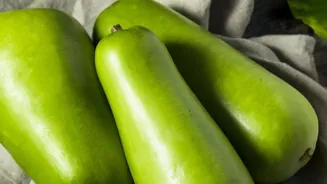 Bitter lauki juice can be toxic