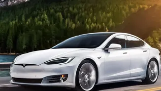 Tesla's On-Screen Objects Multiply in a Dense Indian Traffic Scene