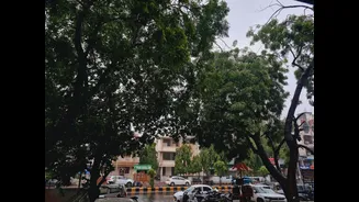 Ahmedabad to Witness Heavy Rainfall After 1 PM Today