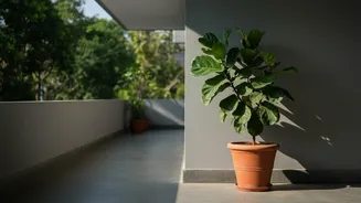 Do Not Move a Shaded Side Straight into Harsh Sun