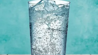 Electrolytes vs Plain Water: Key Differences For Hydration In Humid Weather Conditions